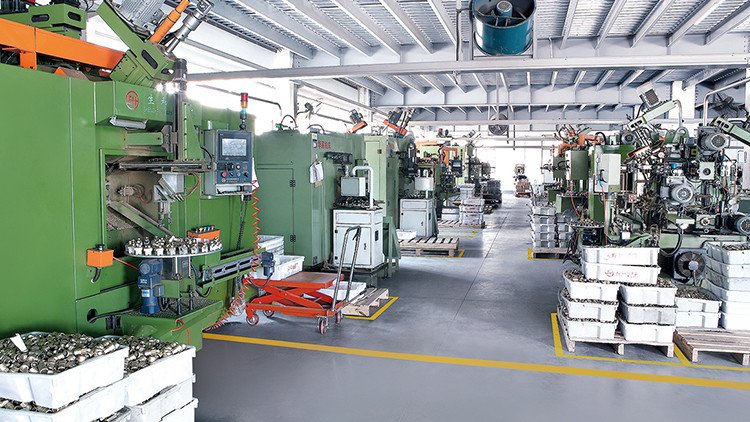 Çin ZHEJIANG DOUBLE-LIN VALVES CO.,LTD. şirket Profili